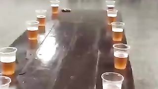 The End ????????????