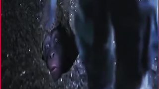 PLANET APES 1