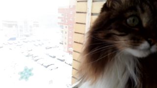19 февраля 2024 г