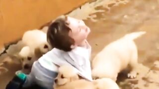 Cute Baby With  a lot Puppy Friends ☺️