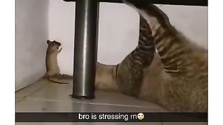 Bro is in trouble