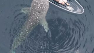 I don't know why she was happy that the fish pushed the boat. If I was there I would probably shit myself ????
