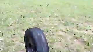 Wheel speed