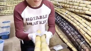 Cut Tebu from China
