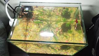 My aquarium