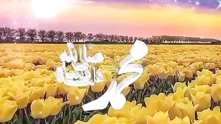 mere nabi Diya zikra Bismillah.