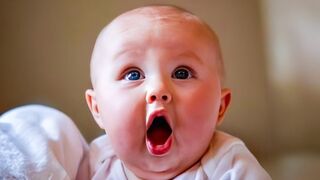 Funny baby videos - Adorable chubby baby moments