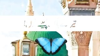Mera Dil karta hai sare phool nabi ke pasine me.