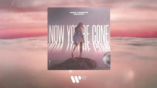 Vion Konger & Nexeri — Now You're Gone | Official Audio