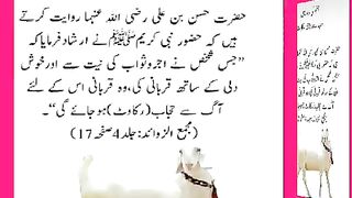شرعی مسائل اور ان کا حل