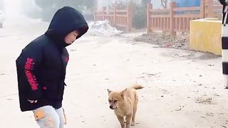 Baby and dog dance together! Very funny video!
