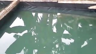 Jangan lupa treatment air kolam sebelum tebar bibit lele