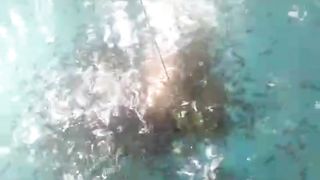 PASTA terbuat dari pelet, Pakan lanjutan dari cacing sutera