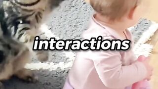 Cats & Toddlers are so cute!   #cat #fact #catfacts #didyouknow