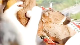 Je veux juste un  câlin ????????????????????????