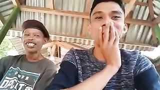 A collection of funny videos