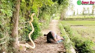 Prank snake