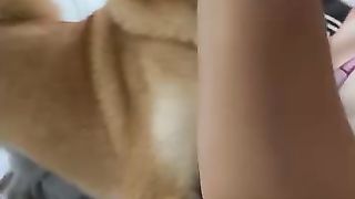 Cat funny ????