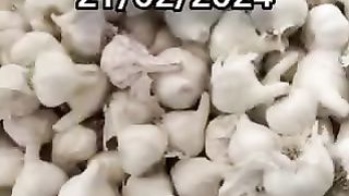 लहसुन मंडी भाव
