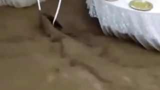 Wedding catastrophic
