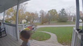 That dogs and the girl don't care