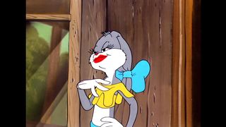 Looney Tunes   The Hillbilly Rabbit   WB Kids