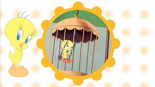 Looney Tunes   The Animated History of Tweety   @WB Kids