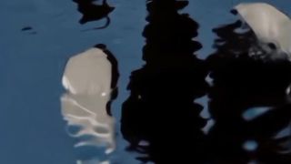 "Reflections of Solitude."