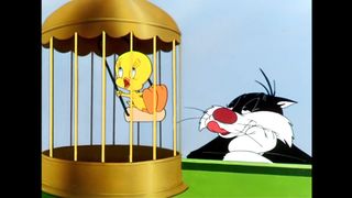 Looney Tunes   Sylvester Tries To Get Through The Guard Dogs   Classic Cartoon   WB Kids
