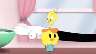 Looney Tunes   Sylvester Catches Tweety!!   WB Kids