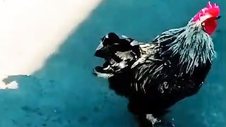 Why are you running