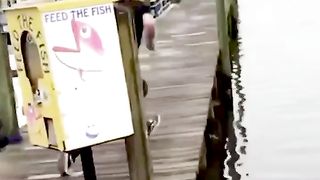 Funny fails