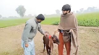 Amazing Funny vidio