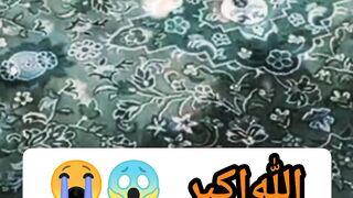 Pigeon Offering Prayer in Mecca❤️ || #trending #viral #Febspot