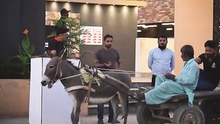 |_VALET_PARKING_PRANK_|_By_Nadir_Ali_&_Team_in_|_P4_Pakao