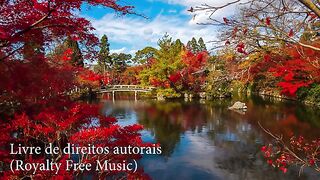 ✅Música instrumental para relaxar a mente