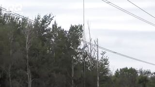Dangerous Fastest Excavator Chainsaw Cutting Tree Machines,