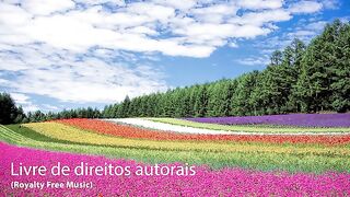 ✅Música instrumental relaxante para estudar concentração memorização