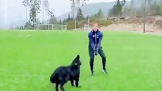 Dog Best Playing