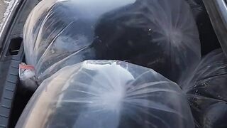 fish seed delevry on farmr location