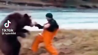BEAR FIGHT | BEARS IN AMERICA VS RUSSIA