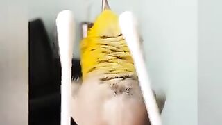 Funny pets