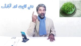 Coriander introduction part 1دنیہ کی اہمیت#Naad BaBa Tv#Babas