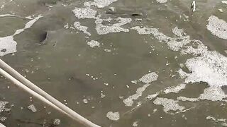 bio flock fish farming