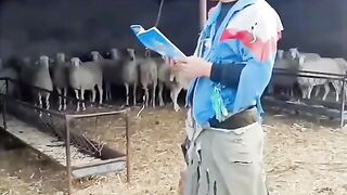 Funny video