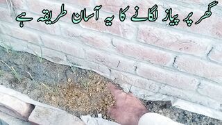 Home grow pot#Naad BaBa Tv#Babas