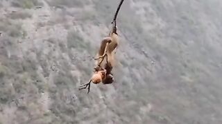 Money funny video playing and clamping on trees