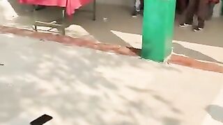 Fight in the School