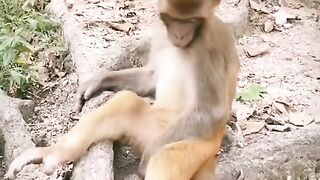 Monkey style of sleeping