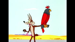 Looney Tunes   Road Runner Hunting   Classic Cartoon   WB Kids